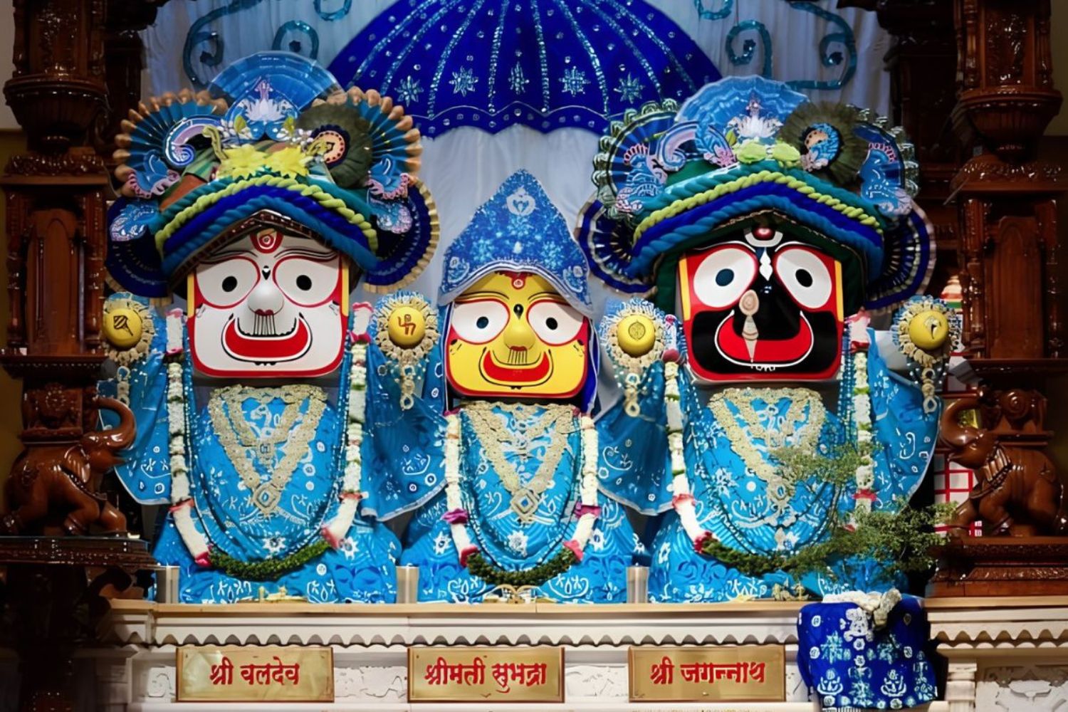 Blissful Shree Jagannath Puri  Trip 